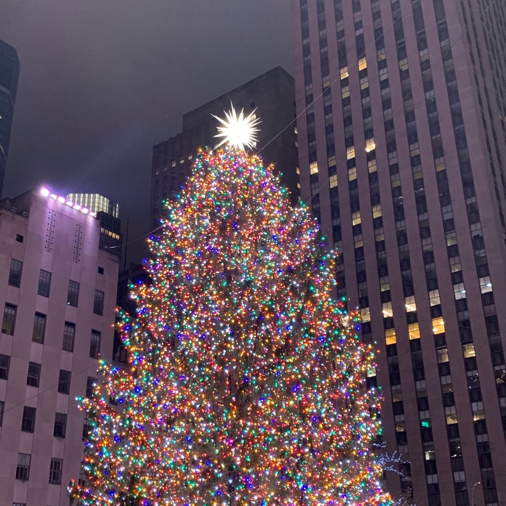 Meet your Posher, Marcella